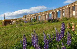 Hôtel Altiplanico Puerto Natales
